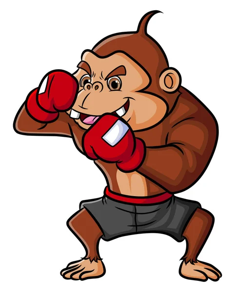 Strong Chimpanzee Professional Boxer Illustration —  Vetores de Stock