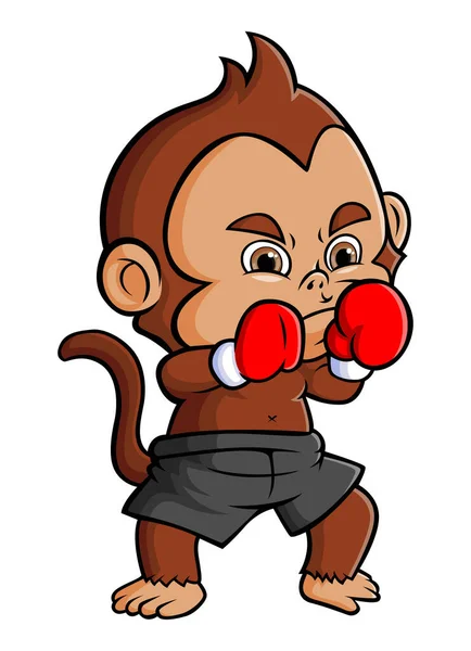 Master Monkey Doing Boxing Good Gloves Illustration — Stock vektor