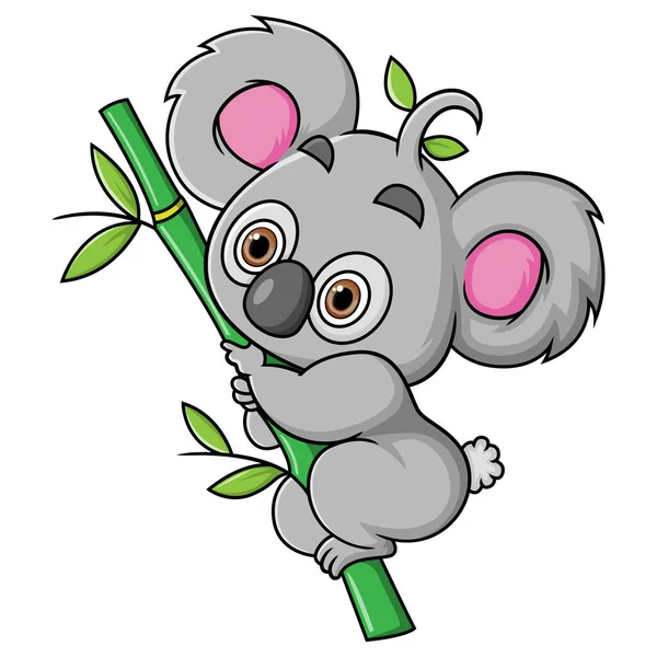 Cute Koala Climbing Bamboo Tree Get Food Illustration — Stock vektor