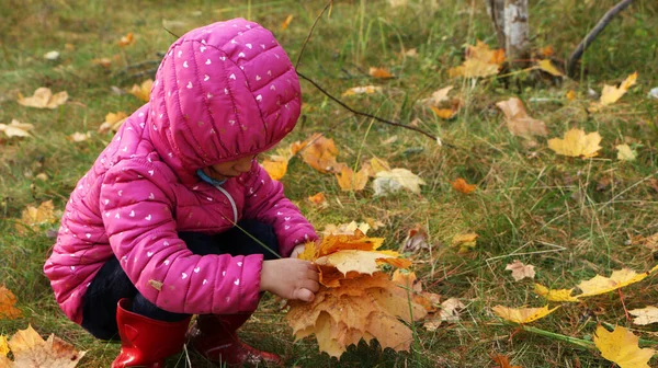 Sonbaharda parkta bir kız sarı ağaç yaprakları topluyor. Sonbahar parkında kırmızı ceketli bir çocuk yürüyor..