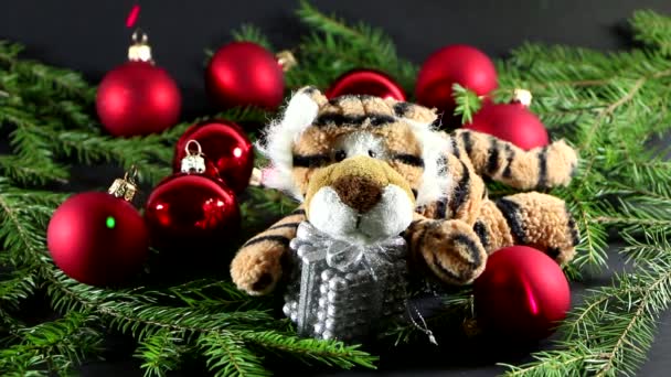 2022年 クリスマスと新年のシンボルとしてのタイガー 新年とクリスマスのためのお祭りの装飾 白い背景にトラとクリスマスのお祝いの装飾 — ストック動画