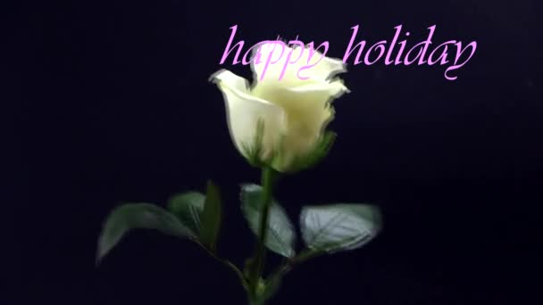 Біла Троянда Чорному Тлі Руці Чоловіка Подарунок Його Коханої Жінки — стокове відео