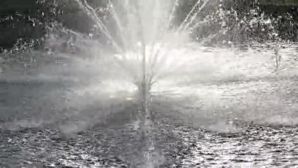 Hot Day Beautiful Fountain Park Splashes Water Fountain Backlight — Vídeo de stock