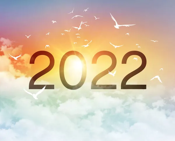 New Year 2022 date number, in a colorful beautiful sky with the morning sunrise and a birds flight, as the beginning of a new day