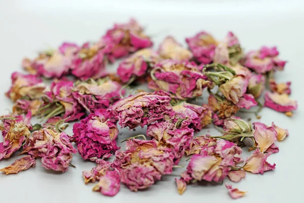 Chá Botões Rosa Seca Fundo Branco Foco Seletivo — Fotografia de Stock