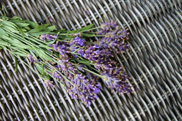 Bunch of fresh lavender flowers on wicker desk background.