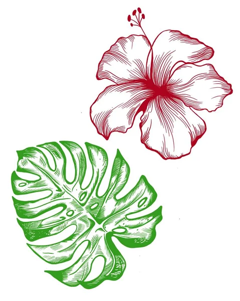 Flores de hibisco tropicais e buquês de folhas de palma sem costura padrão. Ilustração da folhagem da selva com plantas exóticas. Verão praia design de superfície floral . — Fotografia de Stock