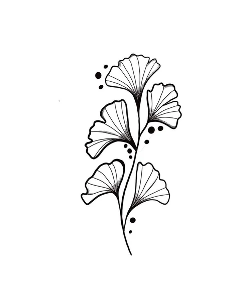 Tangan ditarik Ginkgo biloba meninggalkan. Garis besar daun ginkgo. Floral eksotis meninggalkan ilustrasi untuk desain Anda. — Stok Foto
