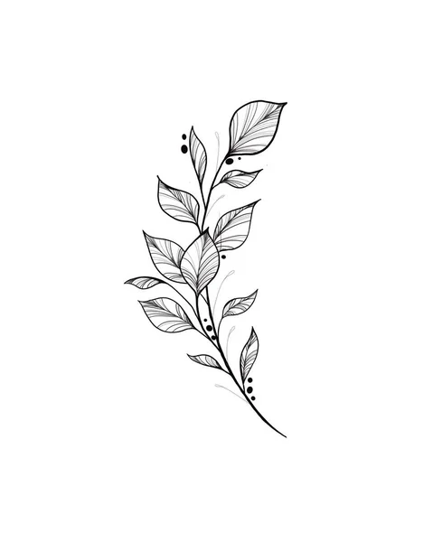Zweig mit Blättern auf weißem Hintergrund. Doodle-Stil. Design-Ikone, Druck, Logo, Poster, Symbol, Dekor, Karte. — Stockfoto