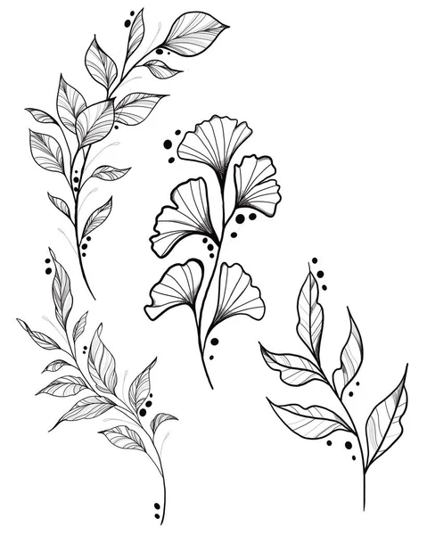 Szkic tatuażu botanicznego - piękna gałązka roślin. Szablon elementu botanicznego do projektowania graficznego, dekoracji ślubnej, tekstyliów, upominków, druku papeterii — Zdjęcie stockowe