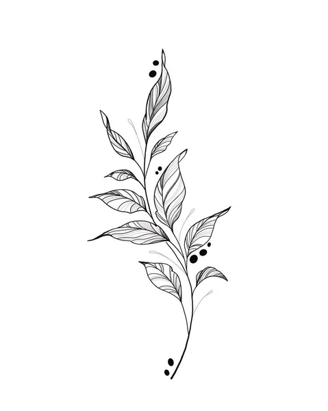 Boceto de tatuaje botánica - planta hermosa ramita. Plantilla de elemento botánico para diseño gráfico, decoración de bodas, textiles, regalo de recuerdo, estampado de papelería — Foto de Stock