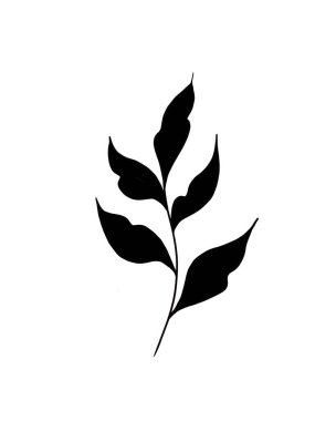 Beyaz arka planda izole edilmiş güzel siyah çizgili ipli bitki çizimi. Grafik tasarımı için botanik element şablonu, düğün dekoru, tekstil, hatıra hediyesi, kırtasiye baskısı