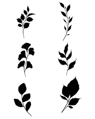 Botanik dövmesi çizimi. Güzel dal bitkisi. Grafik tasarımı için botanik element şablonu, düğün dekoru, tekstil, hatıra hediyesi, kırtasiye baskısı