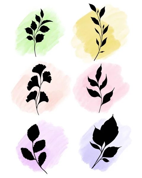 Schöne Aquarell-Pflanzensatz. Schöne handgemachte Blume Kräuterseil Illustration mit Aquarell. Botanisches Element für Design, Hochzeitsdekor, Textilien, Papeteriedruck — Stockfoto