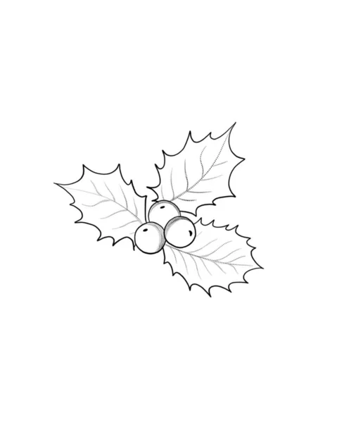 冬青浆果轮廓 圣诞树叶和水果图标 在白色背景上孤立的冬季插图 — 图库照片