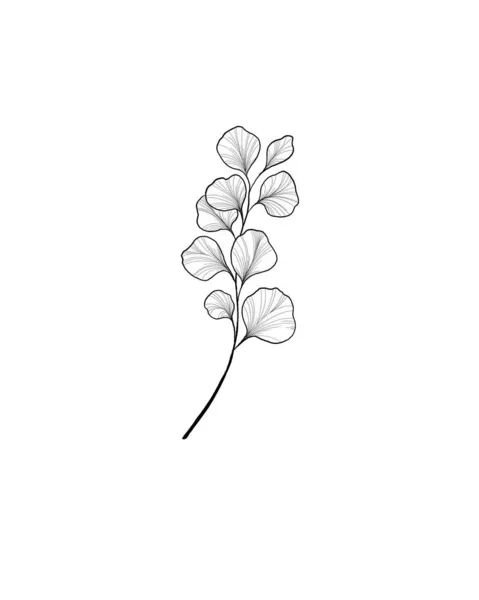 イチョウの葉は美しい植物です 植物学者のタトゥーのスケッチです 詳しいスケッチ植生 植物の枝を閉じる 植物装飾テンプレート — ストック写真