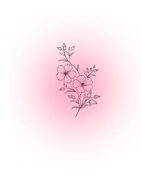 Flowers Periwinkle Hand Drawing Outline White Background Beautiful Sketch Tattoo — Stock Photo, Image