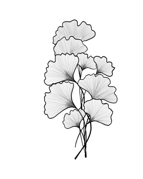 Handgezeichneter Ginkgo biloba. Ginkgoblatt umreißen. Florale exotische Urlaubsillustration für Ihren Entwurf. — Stockfoto
