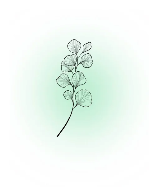 手描きイチョウの葉。銀杏の葉の輪郭。あなたのデザインのための花エキゾチックな休暇イラスト. — ストック写真