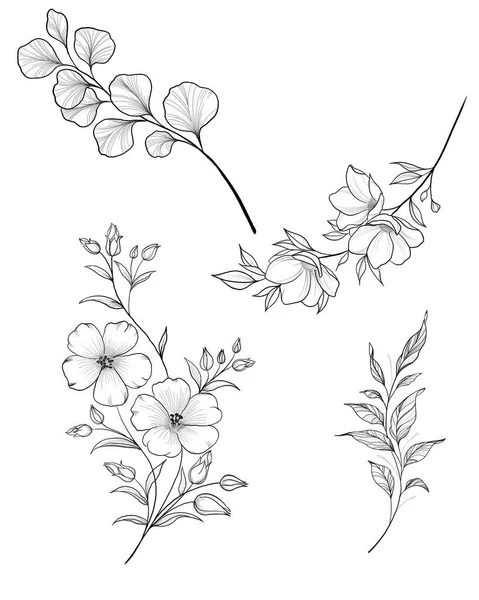 Ramo disegnato a mano di sakura con fiori, fiori, foglie, petali. Linea moderna in stile arte. Composizione botanica per carta, invito, logo, stampa su tessuto. — Foto Stock