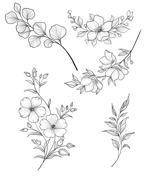 Ramo disegnato a mano di sakura con fiori, fiori, foglie, petali. Linea moderna in stile arte. Composizione botanica per carta, invito, logo, stampa su tessuto. — Foto Stock