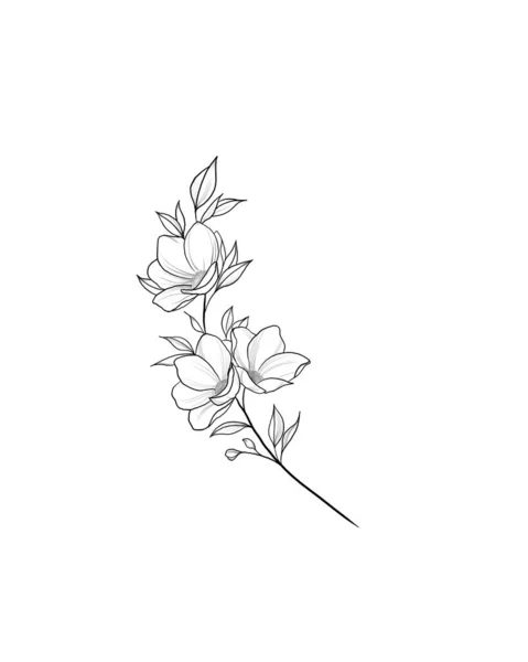 Flores Periwinkle Dibujo Manual Esquema Sobre Fondo Blanco Bosquejo Hermoso — Foto de Stock