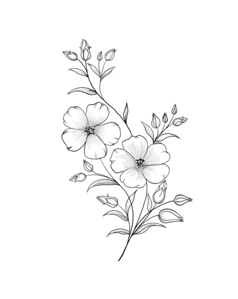 El bosquejo hermoso del tatuaje - la ramita delicada con las flores. Flores Periwinkle. Dibujo manual. Esquema. Sobre un fondo blanco — Foto de Stock