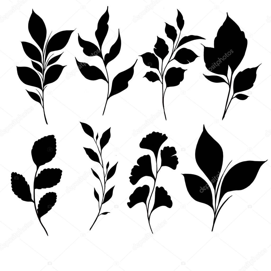 Beautiful hand black outline flower rope herb illustration isolated on white background. Botanical element template for graphic design, wedding decor, textiles, souvenir gift, stationery print