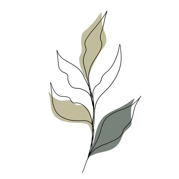 Dibujo de línea minimalista. arte de la línea de hoja. Dibujo botánico ilustración a mano. Hermosa idea para una postal, una postal. para la decoración del hogar, como carteles, arte mural — Foto de Stock