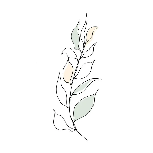 Minimalistic line drawing. leaf line art. Botanical drawing illustration by hand. beautiful idea for a postcard, a postcard. for home decor such as posters, wall art — Stock Photo, Image