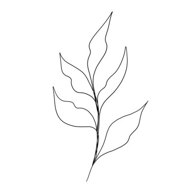 Asgari çizgi çizimi. Yaprak çizgisi sanatı. Elle çizilmiş botanik çizimi. Kartpostal için güzel bir fikir, bir kartpostal. Posterler, duvar sanatı gibi ev dekorları için. Botanik Katılım Çizimi