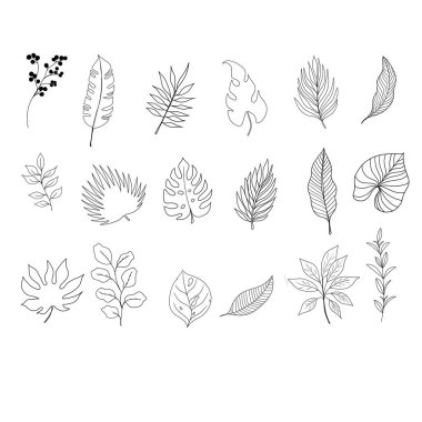 Karalama seti çiçek elementleri. Siyah beyaz çizim. Tropik yaz dalları ve yaprakları, tebrik kartları için egzotik bitkiler, düğün davetiyeleri, boyama sayfaları, bloglar ve sosyal medya tasarımları
