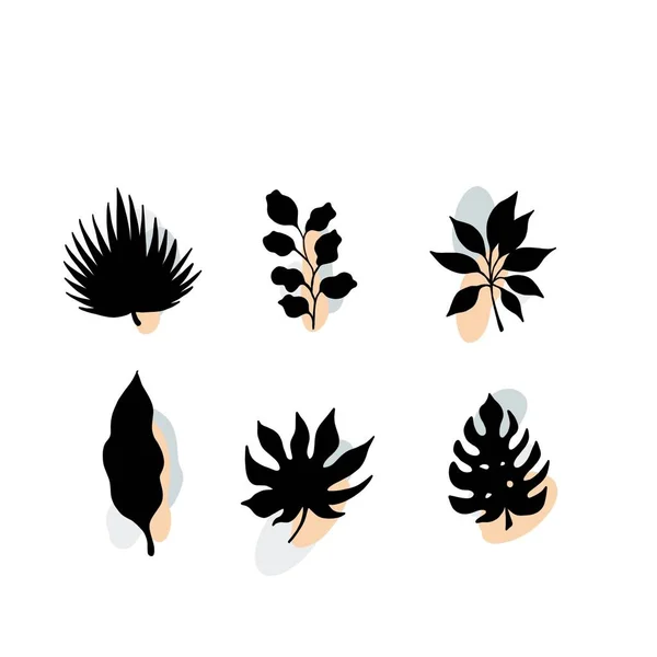 Set Line Art Plant Silhouette Geometry Colored Shapes Modern Trendy — 图库照片