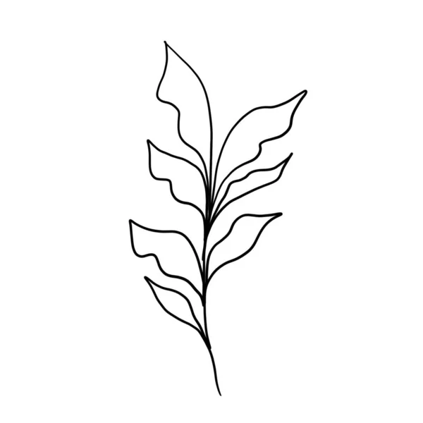 Minimalistische lijntekening. Bladlijn kunst. Botanische tekening met de hand. prachtig idee voor een ansichtkaart, een ansichtkaart. voor huisdecoratie zoals posters, muurkunst — Stockfoto