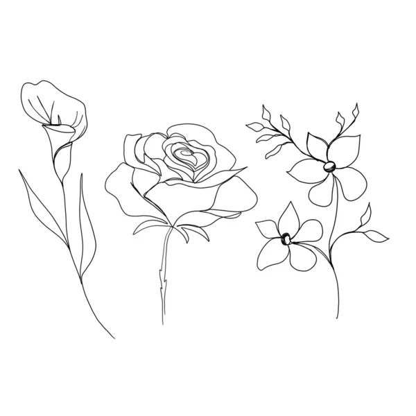 Лінійний художній малюнок квітів. встановити лінійний арт-набір квітів. мінімалізм ескіз, ідея для запрошення, дизайн інстаграм історій і виділення піктограм — стокове фото