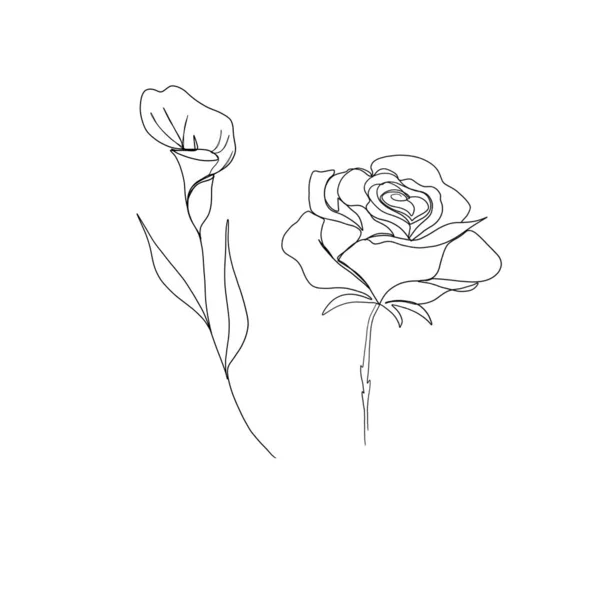 line art drawing of flowers. set line art set of flowers feces and rose. minimalism sketch, idea for invitation, design of instagram stories and highlights icons