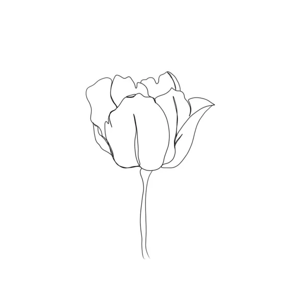 ポートフォリオ Littlemagic ストック写真 イラストとベクターアート Depositphotos ポートフォリオ Littlemagic ストック写真 イラストとベクターアート Depositphotos