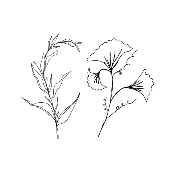 Linienkunst Zeichnung von Blumen. große Reihe von Linienkunst von Pflanzen. Minimalismus Skizze, Idee für Einladung, Gestaltung von Instagram-Geschichten und Highlights Symbole — Stockfoto