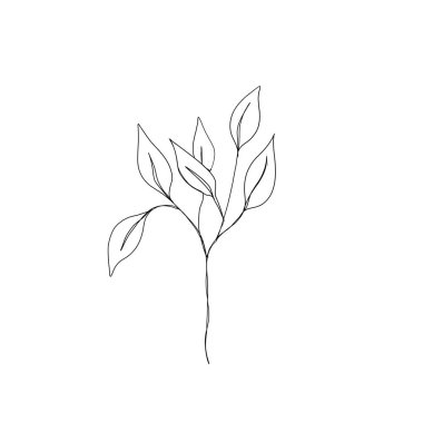 Bitki dalı sürekli çizgi çiziyor. Bir satır sanat eseri. Düzenlenebilir satır. Minimalizm eskizi, davetiye fikri, Instagram hikayelerinin tasarımı ve önemli simgeler. Satır çizgisi çiçek dizisi