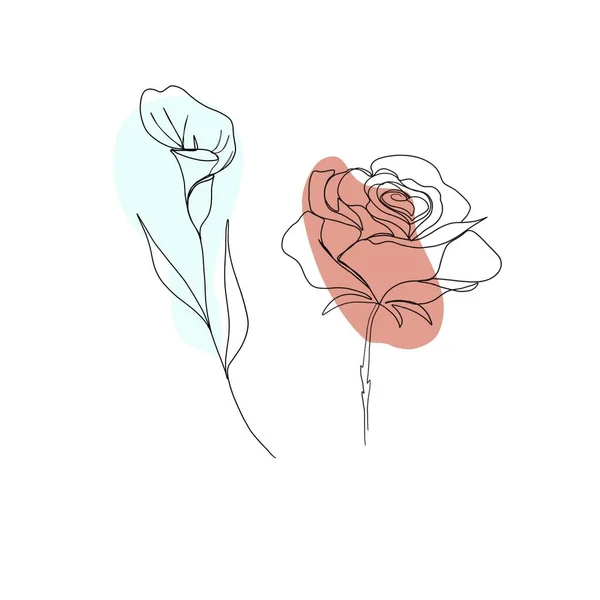 line art drawing of flowers. set line art set of flowers feces and rose. minimalism sketch, idea for invitation, design of instagram stories and highlights icons