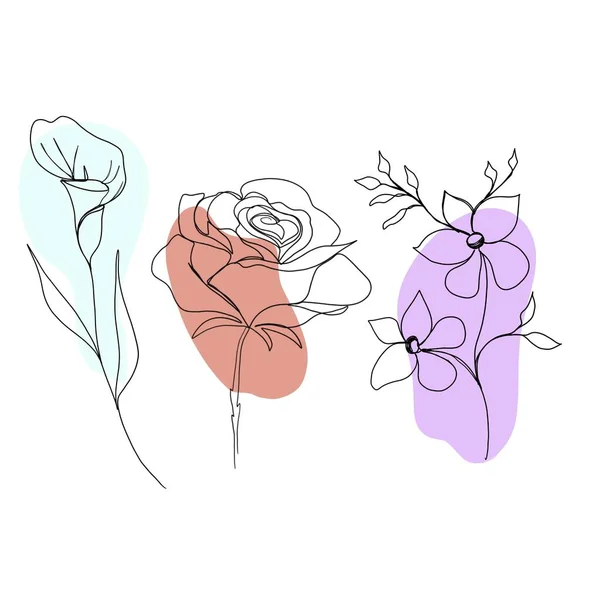 Farbige Fäkalien, Rose, Wildblume. set line art set von blumen. Minimalismus-Skizze, Idee für Einladung, Gestaltung von Instagram-Geschichten und Highlights-Icons — Stockfoto