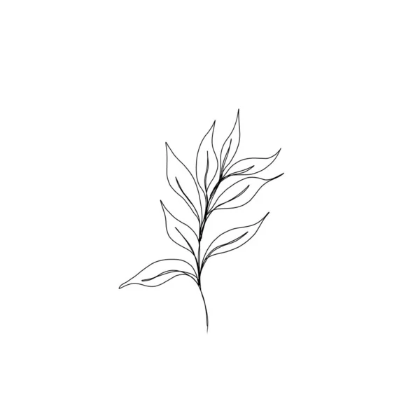 Minimalistische Linienzeichnung Blattlinienkunst Botanische Zeichnung Illustration Von Hand Schöne Idee — Stockfoto