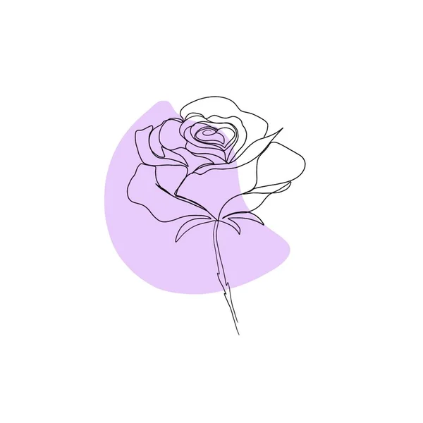 Line Art Drawing Flowers Editable Line Minimalism Sketch Idea Invitation — Stock Photo, Image