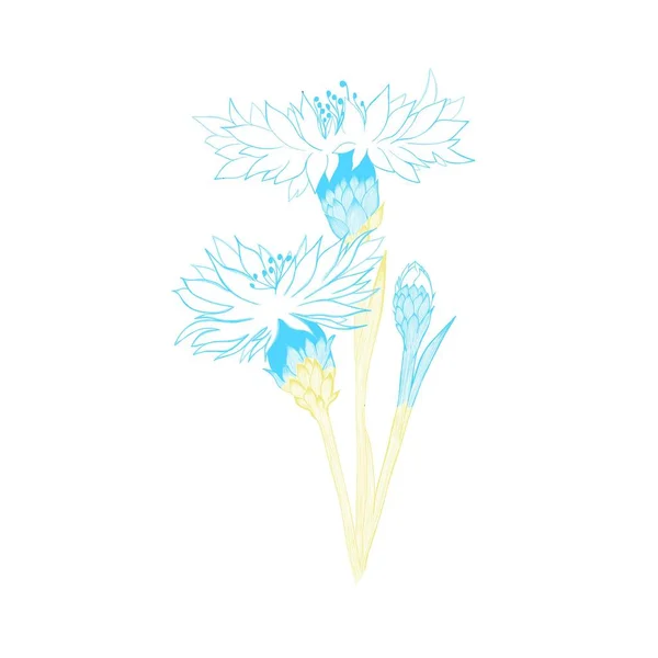 Bukiet żółto-niebieskich kwiatów kukurydzy pole - symbolika Ukrainy. — Zdjęcie stockowe