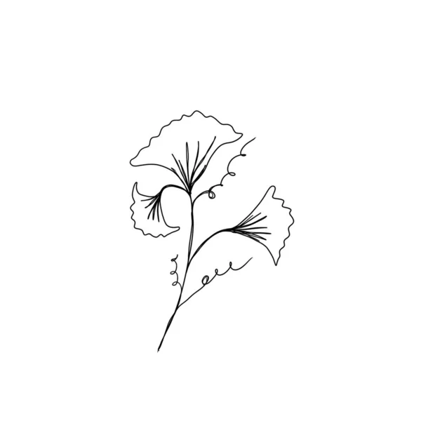 Line Art Drawing Flowers Editable Line Minimalism Sketch Idea Invitation — Stock Photo, Image
