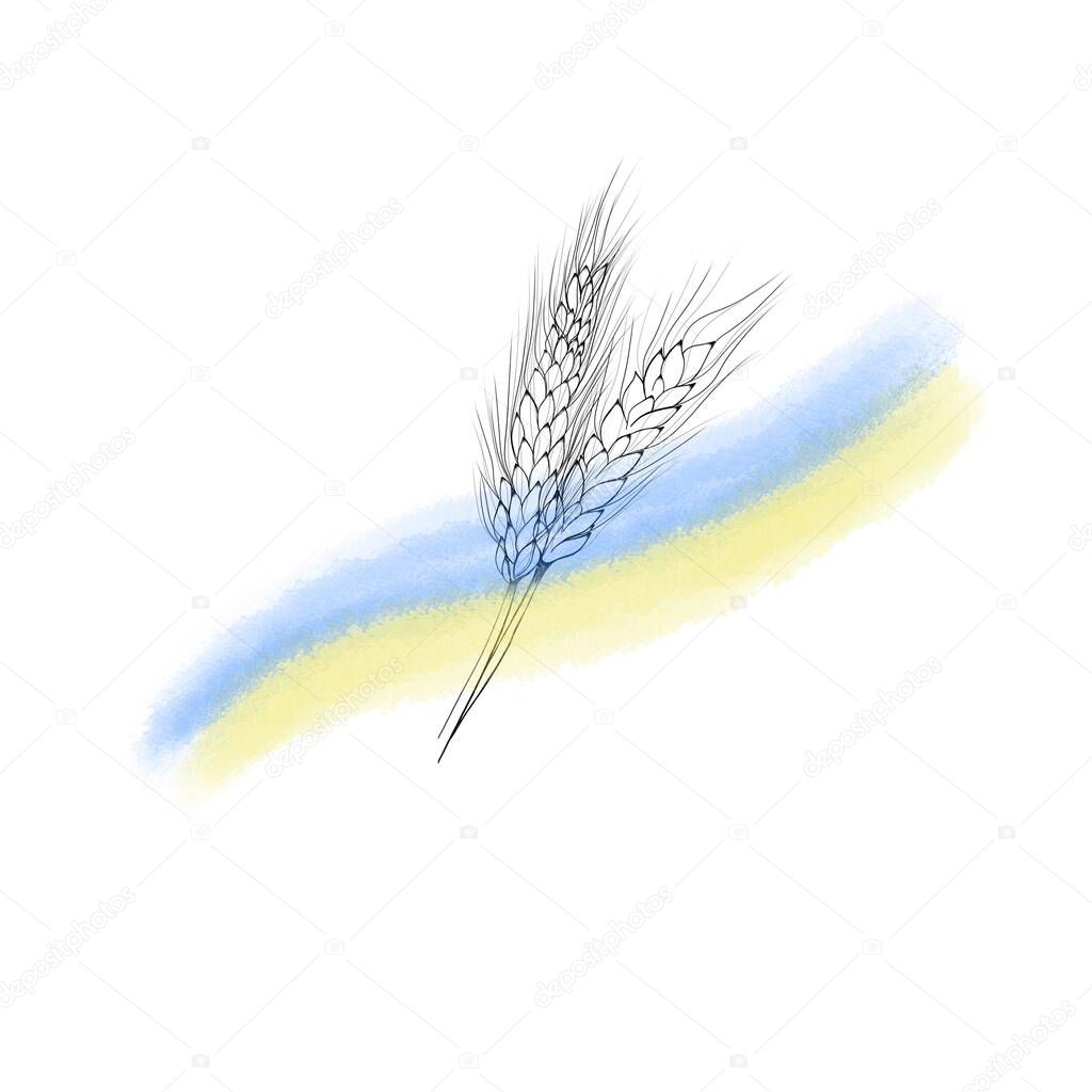 Spikelet of wheat and yellow-blue flag of Ukraine. watercolor design national symbols. let's pray for Ukraine - stop the war in Ukraine. High quality illustration