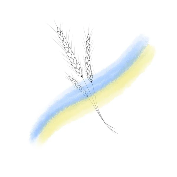 Spikelet Trigo Bandeira Amarelo Azul Ucrânia Desenho Aquarela Símbolos Nacionais — Fotografia de Stock