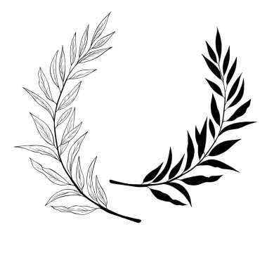 Beyaz arka planda izole edilmiş güzel siyah çizgili ipli bitki çizimi. Grafik tasarımı için botanik element şablonu, düğün dekoru, tekstil, hatıra hediyesi, kırtasiye baskısı