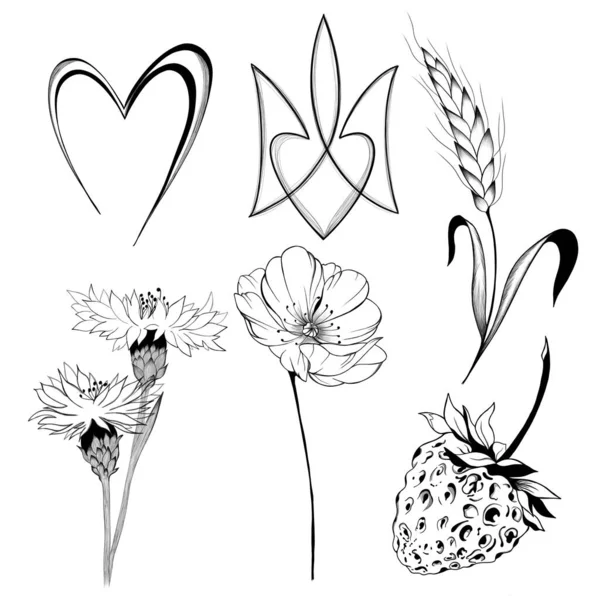 Set dari simbol nasional Ukraina gambar tangan sketsa. Lambang Ukraina, bulir gandum, bunga liar dan simbol ikonik Ukraina lainnya. Menghentikan perang di Ukraina — Stok Foto