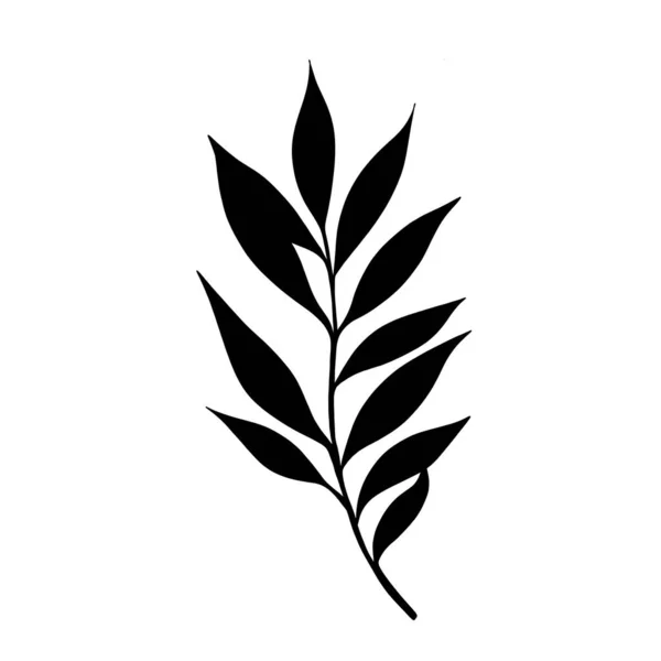 Απομονωμένο πρότυπο σιλουέτας φυτών. βοτανικό σκίτσο τατουάζ — Φωτογραφία Αρχείου